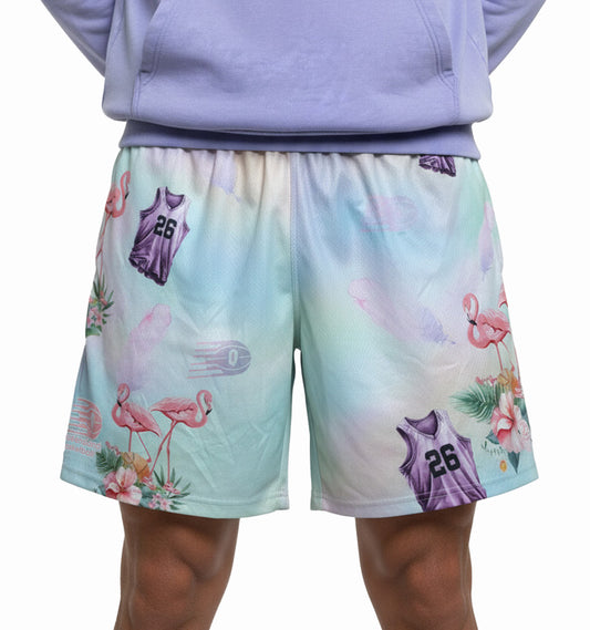 2026 Boys Flamingo Basketball Shorts